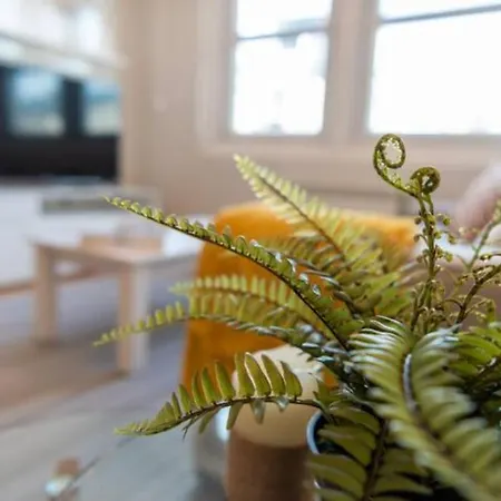 Urzaiz Centro アパート